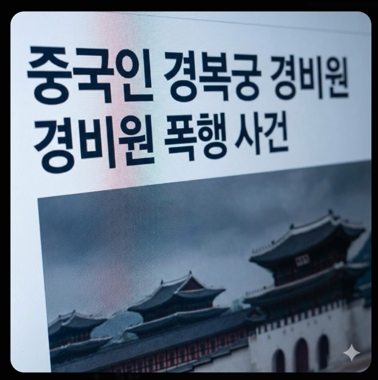  무비자 중국인 경비원 폭행후 출국