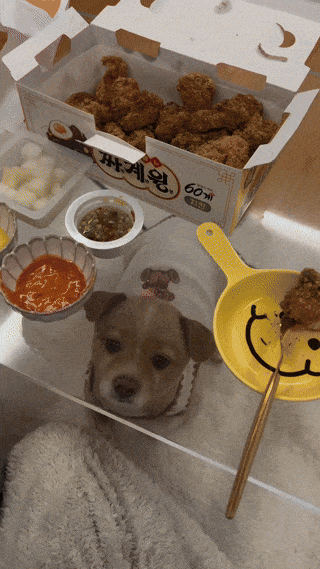  투명 유리 테이블에서 음식 먹을때 단점.gif