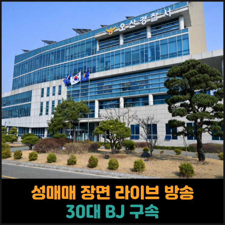  성매매 장면 라이브 방송한 30대 BJ 구속