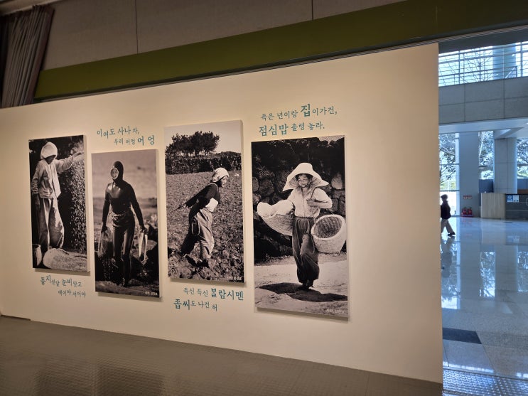 제주 설문대 여성문화 센터 <b>제주의 소리</b> 해녀 특별 기획전