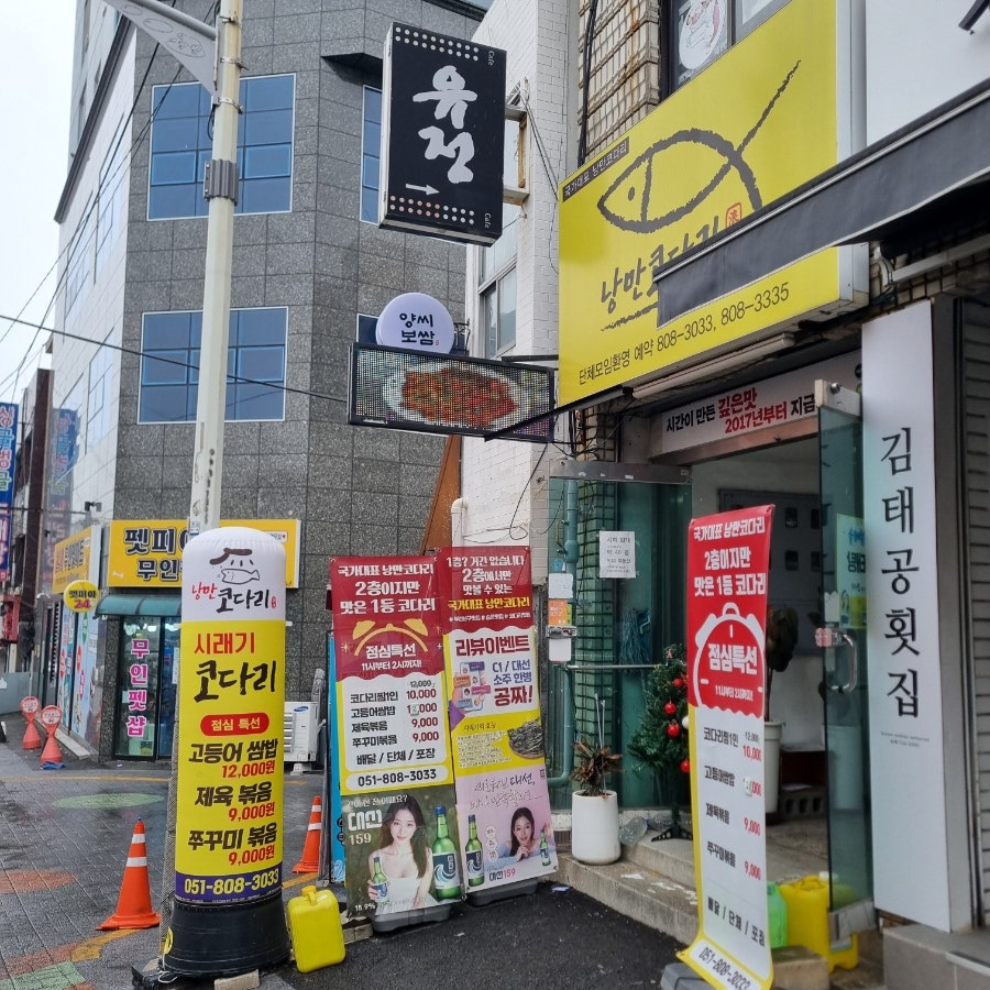 국가대표 낭만코다리 사진 1