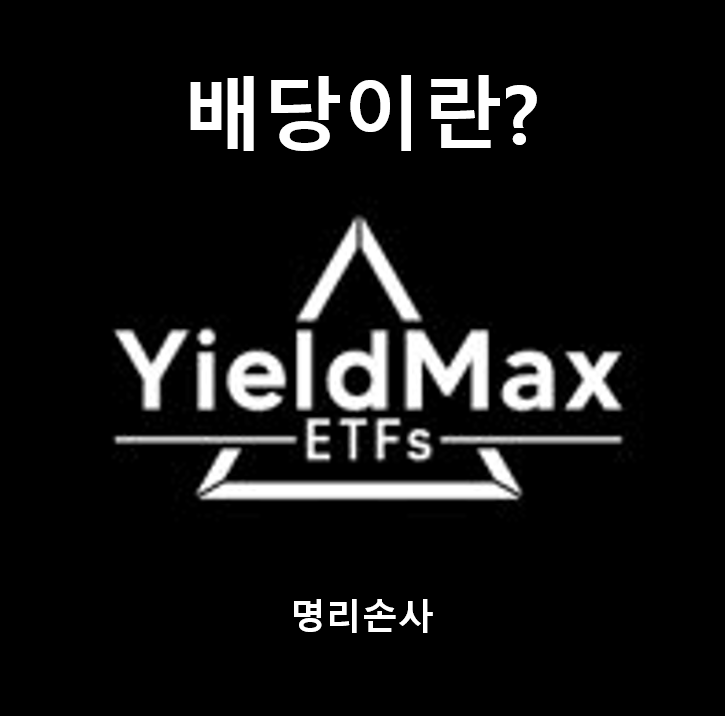  [ROC 확인법] 일드맥스(YieldMax) ETF 배당의 비밀, 내 원금 깎아서 주는 걸까?