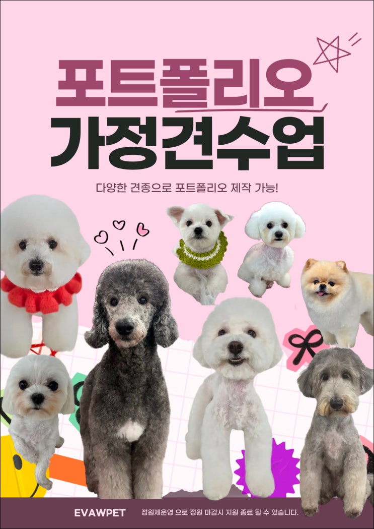  종로애견미용자격증 3급·2급 취득 과정과 기간 현실 정리