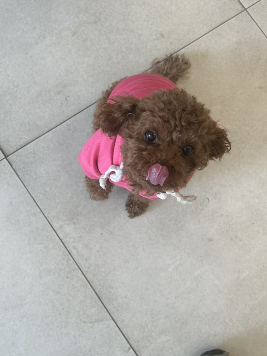 카페타이니 사진 2