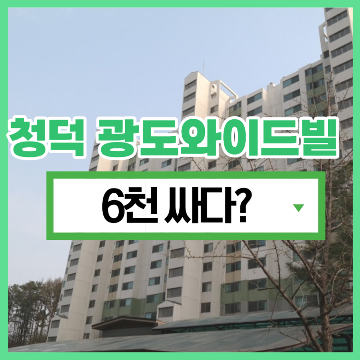  청덕광도와이드빌, 입찰할만 한 경매 물건일까?
