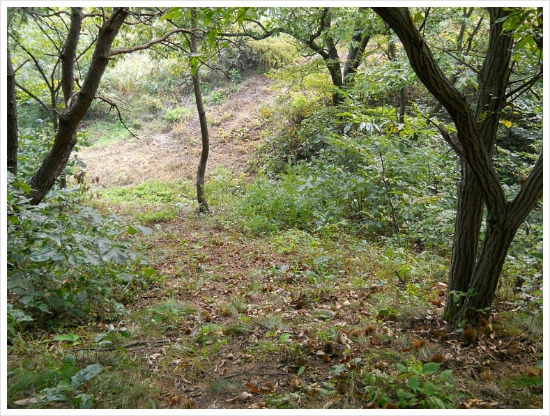 박달산 사진 5