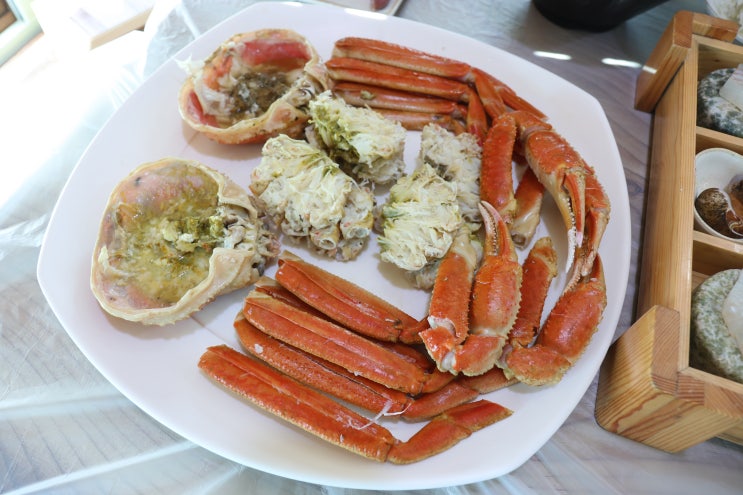  속초 막국수 맛집 찾다가 인생 속초 맛집 추천 하고 싶은 비치대게