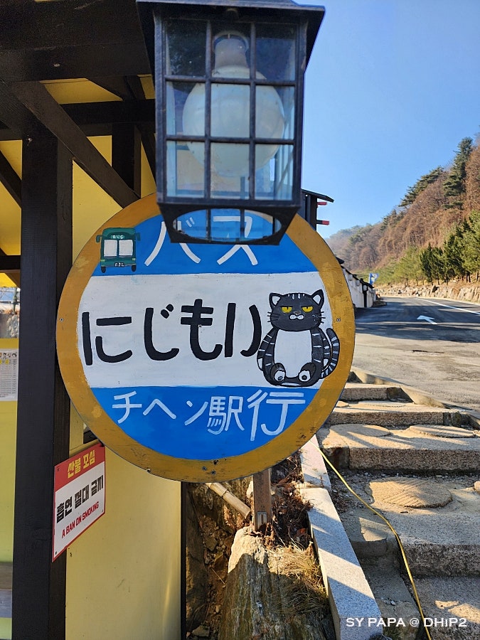 사진 5