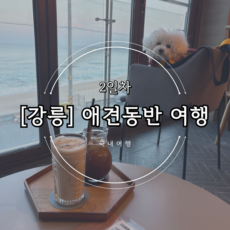 민지네 사진 1