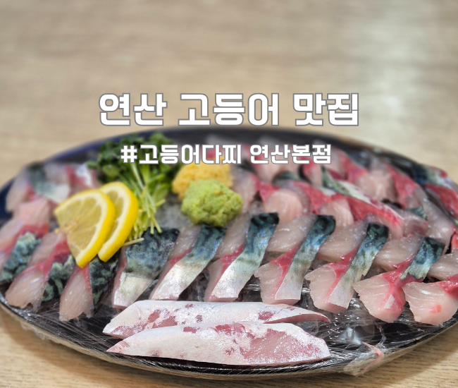  [부산 연제] 연산동 횟집 고등어다찌 연산본점 후기 (밑반찬+해물탕 미쳤음) | 연산역 맛집 술집 추천