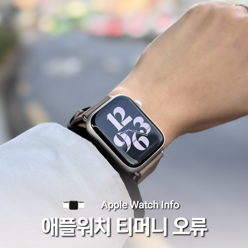 애플워치 티머니 교통카드 인식 오류 해결 후기 (익스프레스 모드)