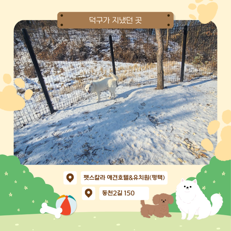 사진 2