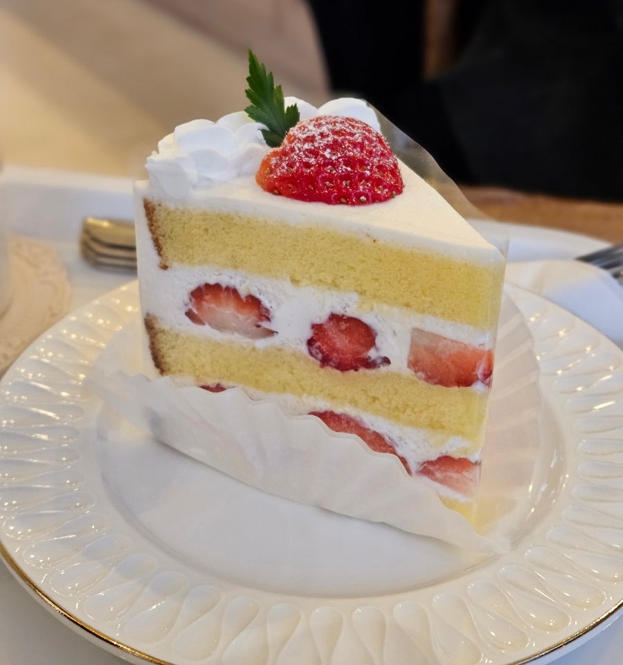 카페르누보 사진 6