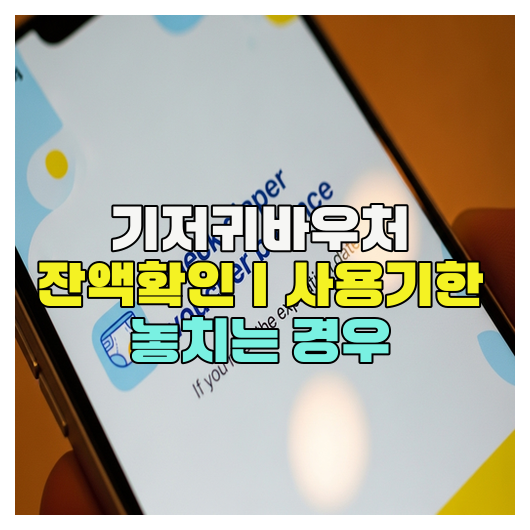  기저귀바우처 잔액확인｜사용기한 놓치는 경우
