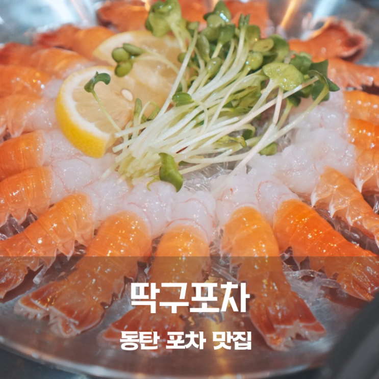  동탄 북광장 맛집 포차 술집 딱구포차 딱새우회