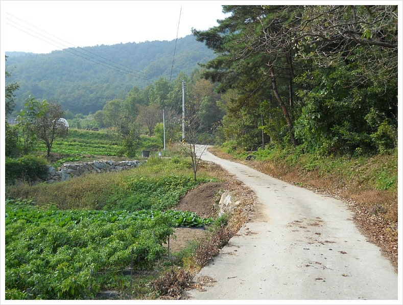 박달산 사진 4