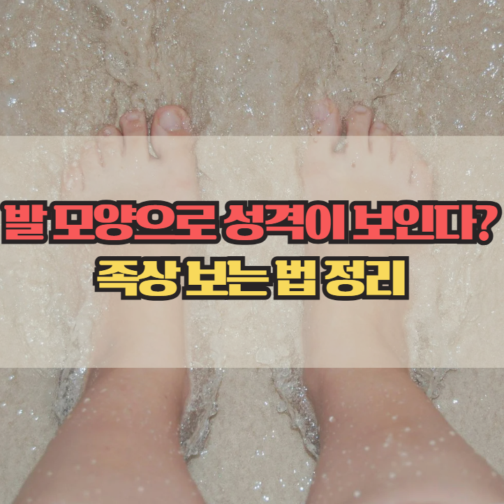  족상보는 방법, 발 모양으로 성격 알아보기