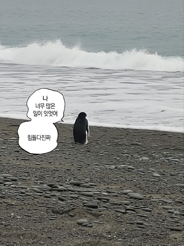 갤럭시버즈3프로 충전중지 as후기 및 재구매