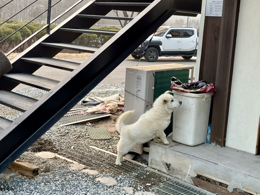 아주대장군집 사진 4