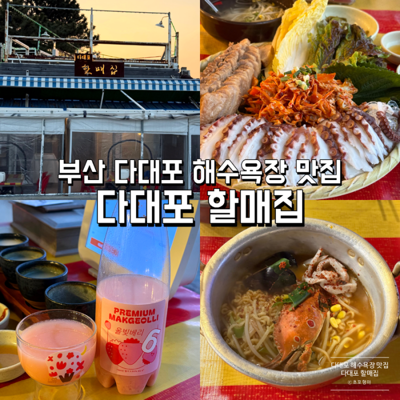 부산 다대포 맛집 할매집, 야장 감성 터지는 문어삼합과 딸기막걸리
