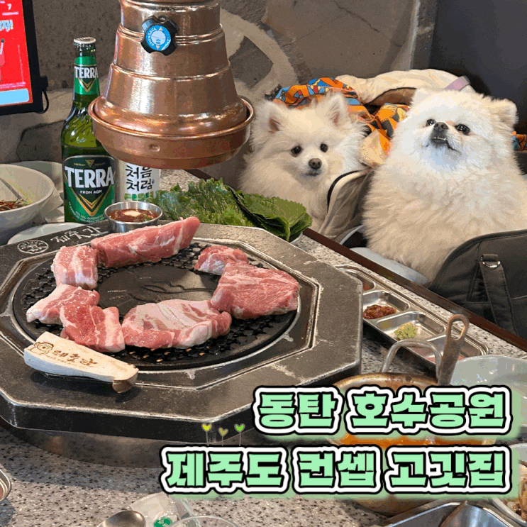  동탄호수공원 애견 동반 식당 제주도 컨셉 고깃집 제줏간