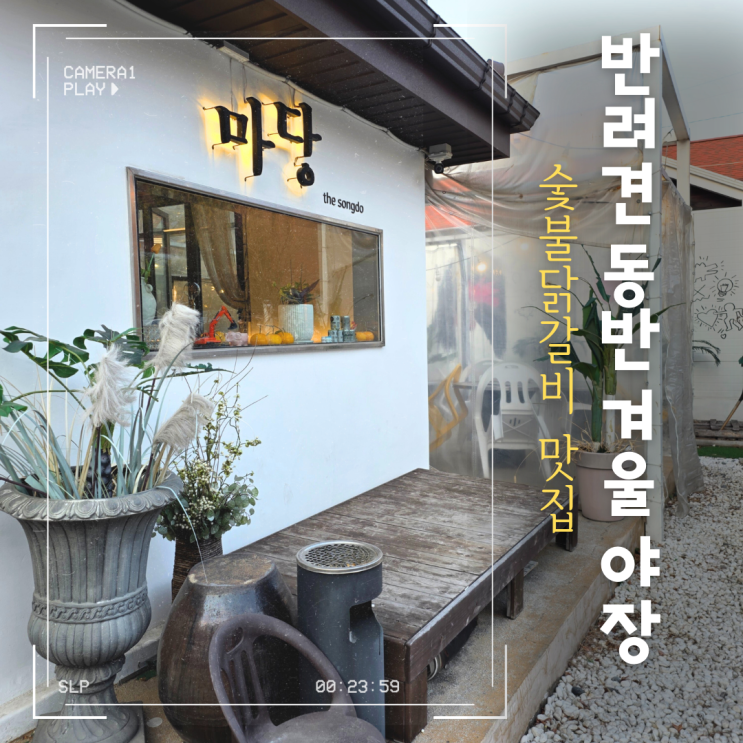  송도 반려견동반 식당 마당숯불갈비 방문 기록, 겨울 야장의 온기