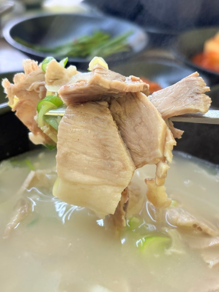  포항돼지국밥 맛집 추천 깔끔한 수현네 돼지국밥