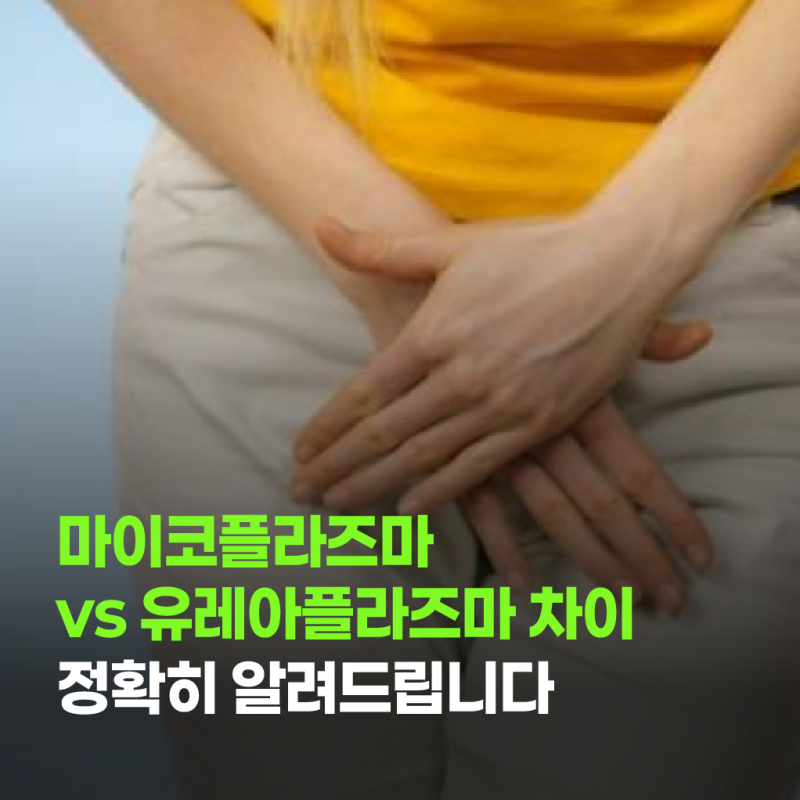 마이코플라즈마 vs 유레아플라즈마 차이 정확히 알려드립니다
