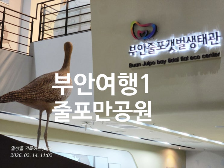  [전북여행] 부안 줄포만 노을빛 공원 갈대탐방로 산책 후기 + 전북투어패스 카페 플로스권 정리