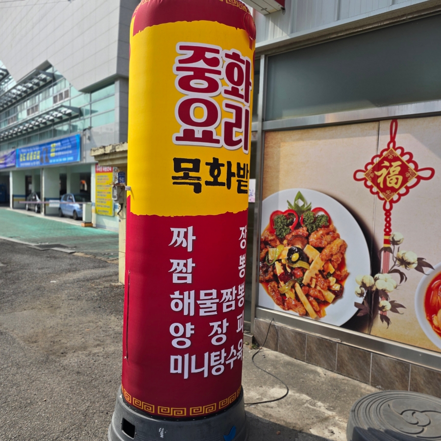목화밭 사진 3
