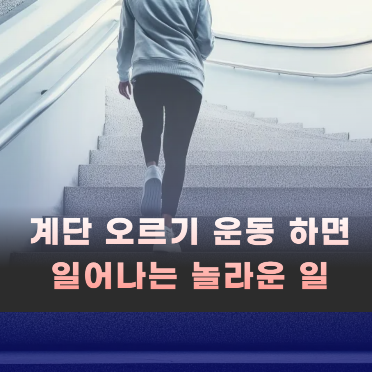  아파트 계단 오르기 운동 효과 및 칼로리 소모량