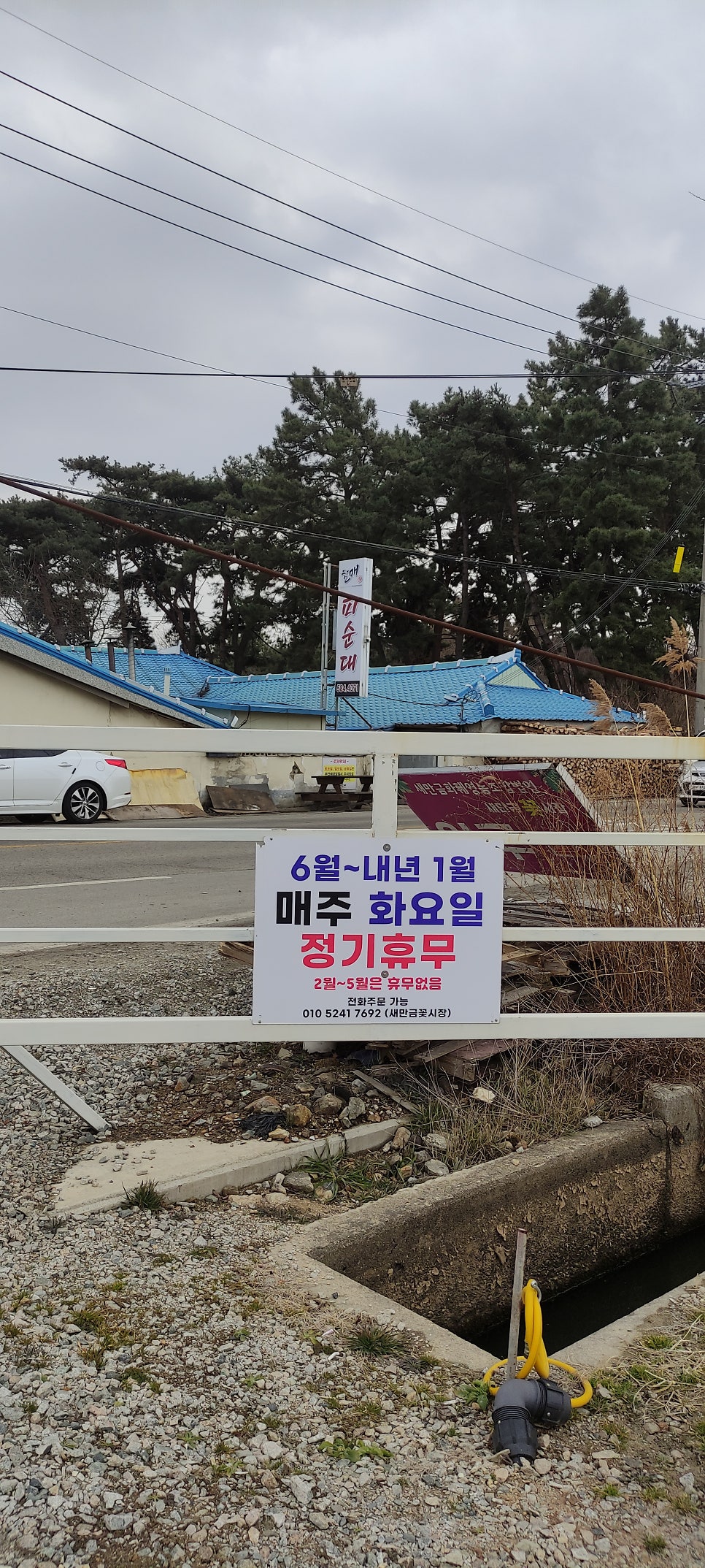 새만금꽃시장 사진 6