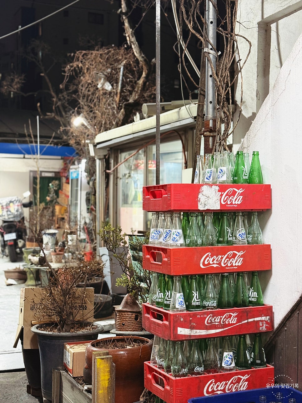 뜨락 사진 5