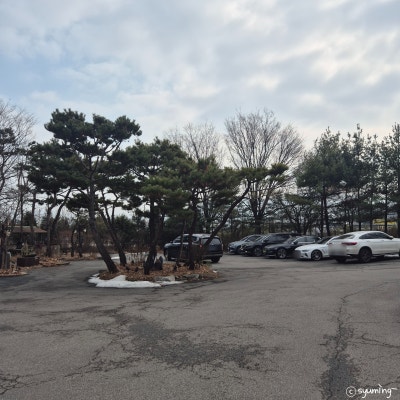 사진 6