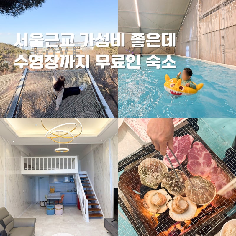 사진 5