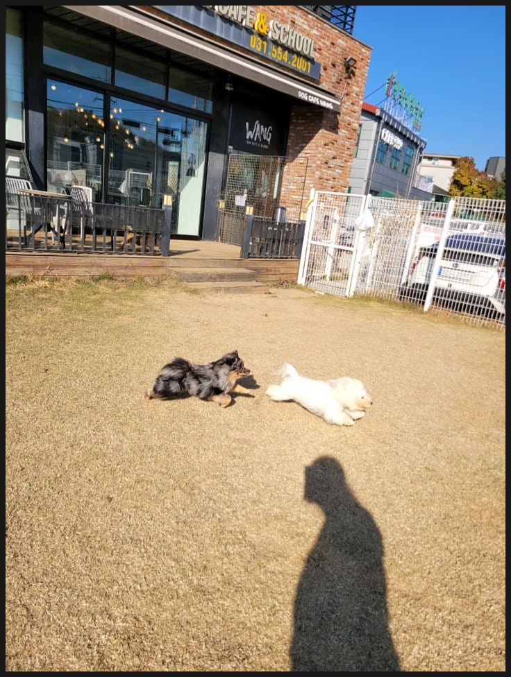사진 2