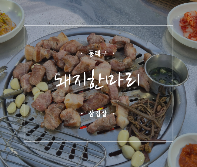  [부산 동래] 동래고기집 추천 돼지한마리 후기｜수안동 야장 삼겹살 맛집, 가성비 좋게 한잔