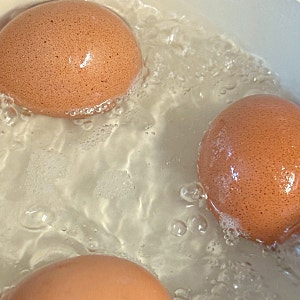 매일 신선한 무항생제계란을 집 앞으로! 잇츠온 계란정기배송 만족 후기