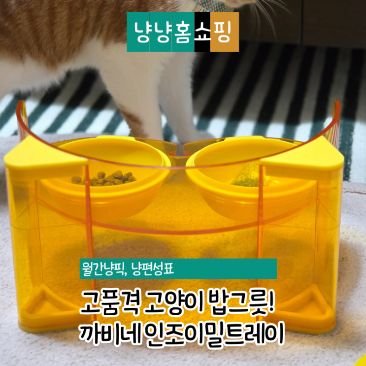  까비네 인조이밀트레이 옐로우 후기 전자레인지 가능한 고양이밥그릇 사용기