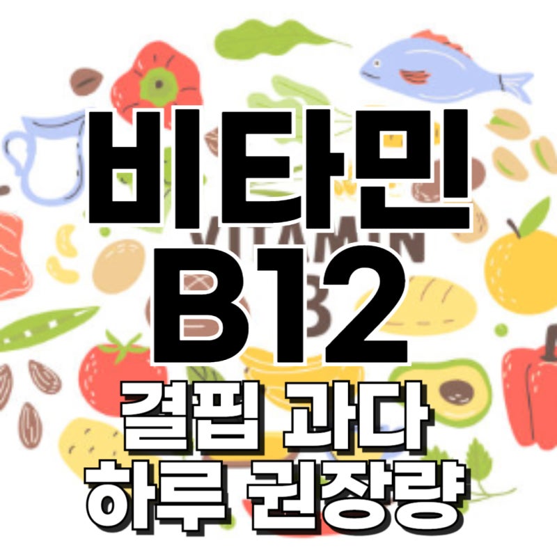 비타민 b12 결핍 과다 부작용 하루 권장량