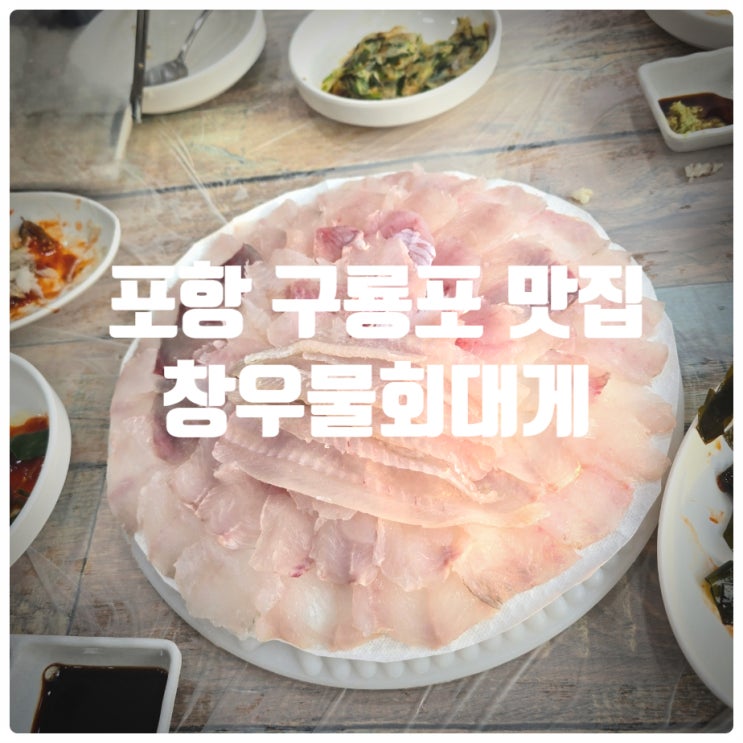  포항 구룡포 맛집 일본인가옥거리 맛집 『 창우물회대게 』 자연산 모듬회 내돈내산 솔직후기