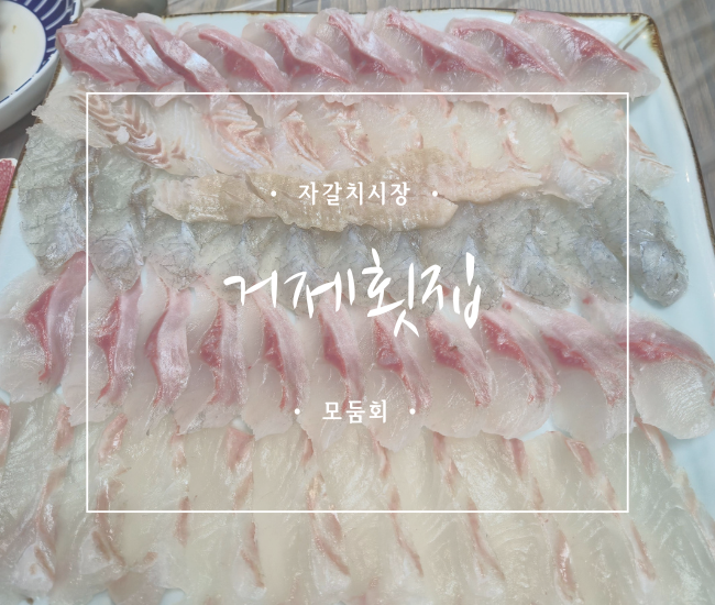  [부산 자갈치] 자갈치 횟집 거제횟집 모둠회 후기 | 남포동 횟집 추천