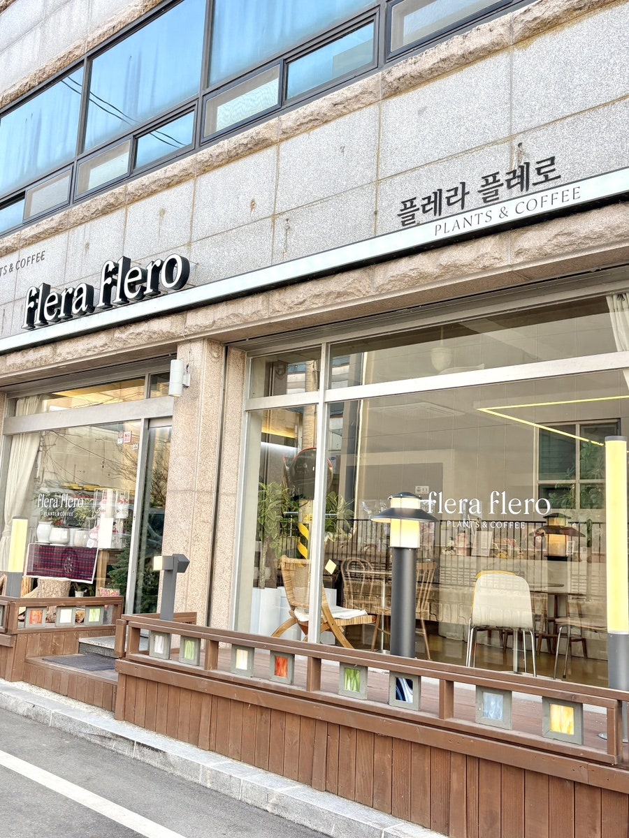 플레라플레로 사진 2