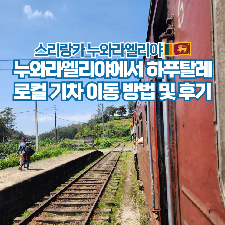  스리랑카 여행 누와라엘리야에서 하푸탈레 가는법 기차