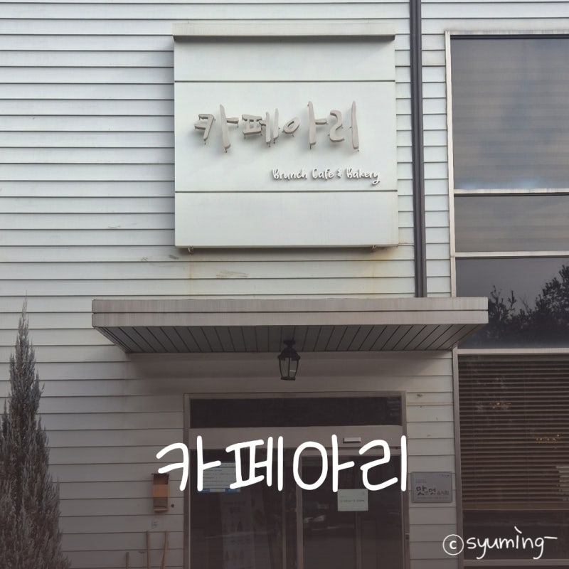 사진 4