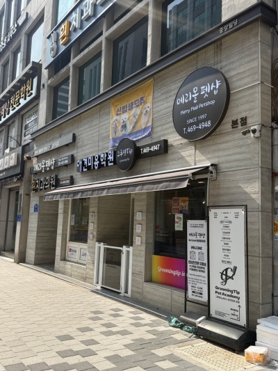 사진 9
