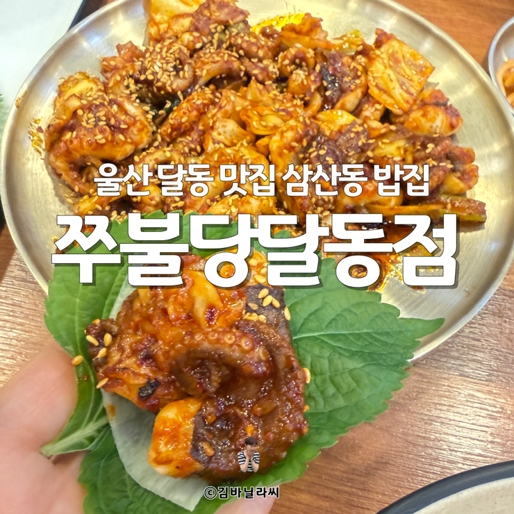  울산 삼산동 밥집 쭈불당 쭈꾸미피자세트 달동 점심 저녁 맛집