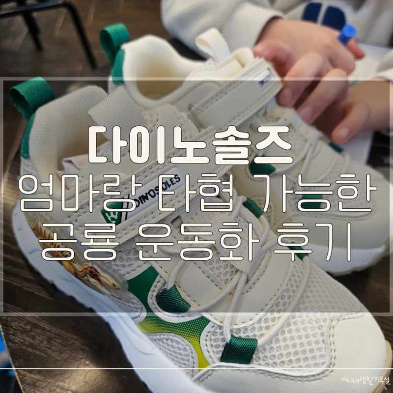 스퀘어원 ABC마트 키즈 다이노솔즈 운동화 구매 후기 (재재구매!)