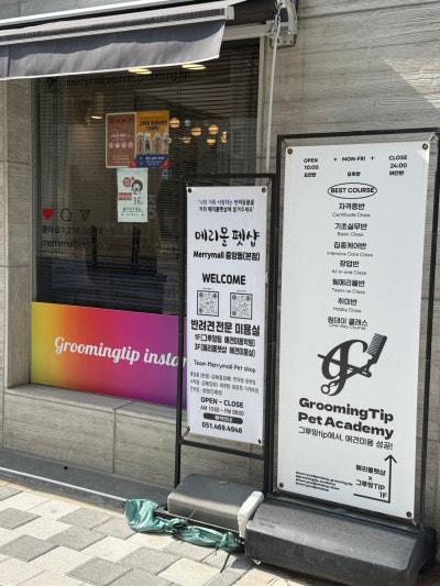 사진 10