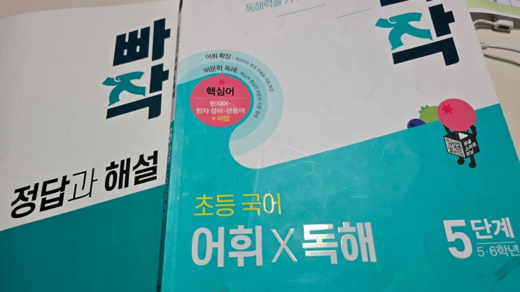  초5국어문제집 시작은 빠작어휘독해 5단계로